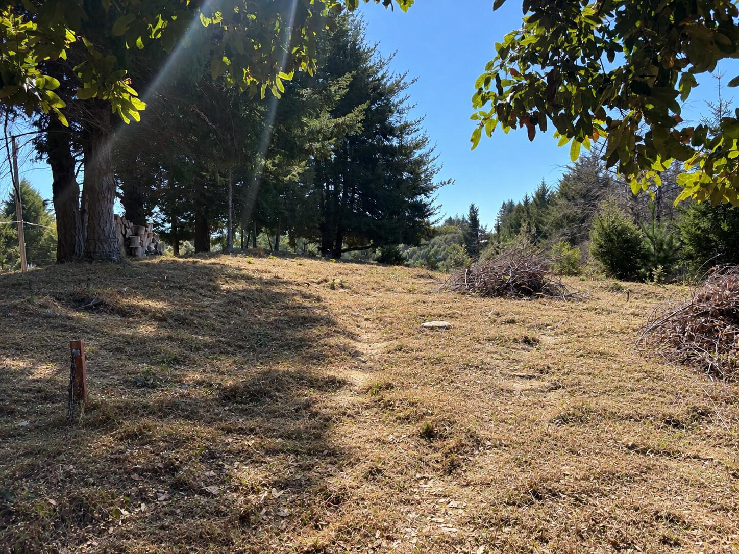 98 Ridge Road Shelter Cove, CA 95589 - Photo 2 of 3 Gallery Image 2