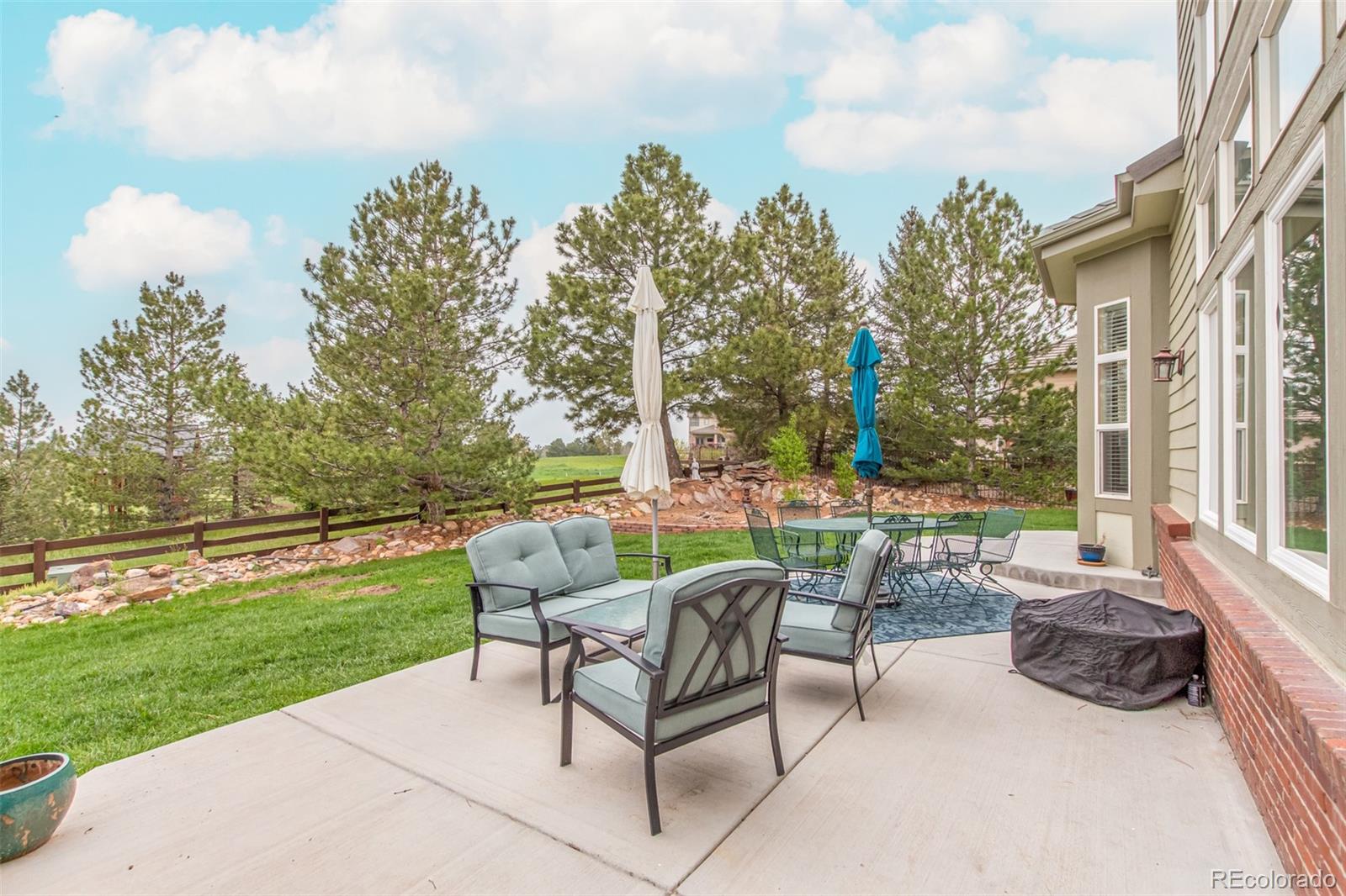 21923 East Ridge Trail Circle Aurora, CO 80016 - Photo 33 of 40 a view of a patio with couches and table and chairs and garden