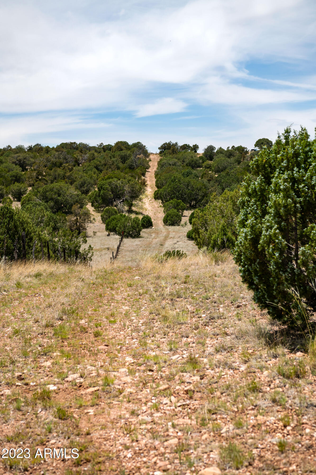 A Pine Ridge Trail, Unit 50 Seligman, AZ 86337 - Photo 6 of 20