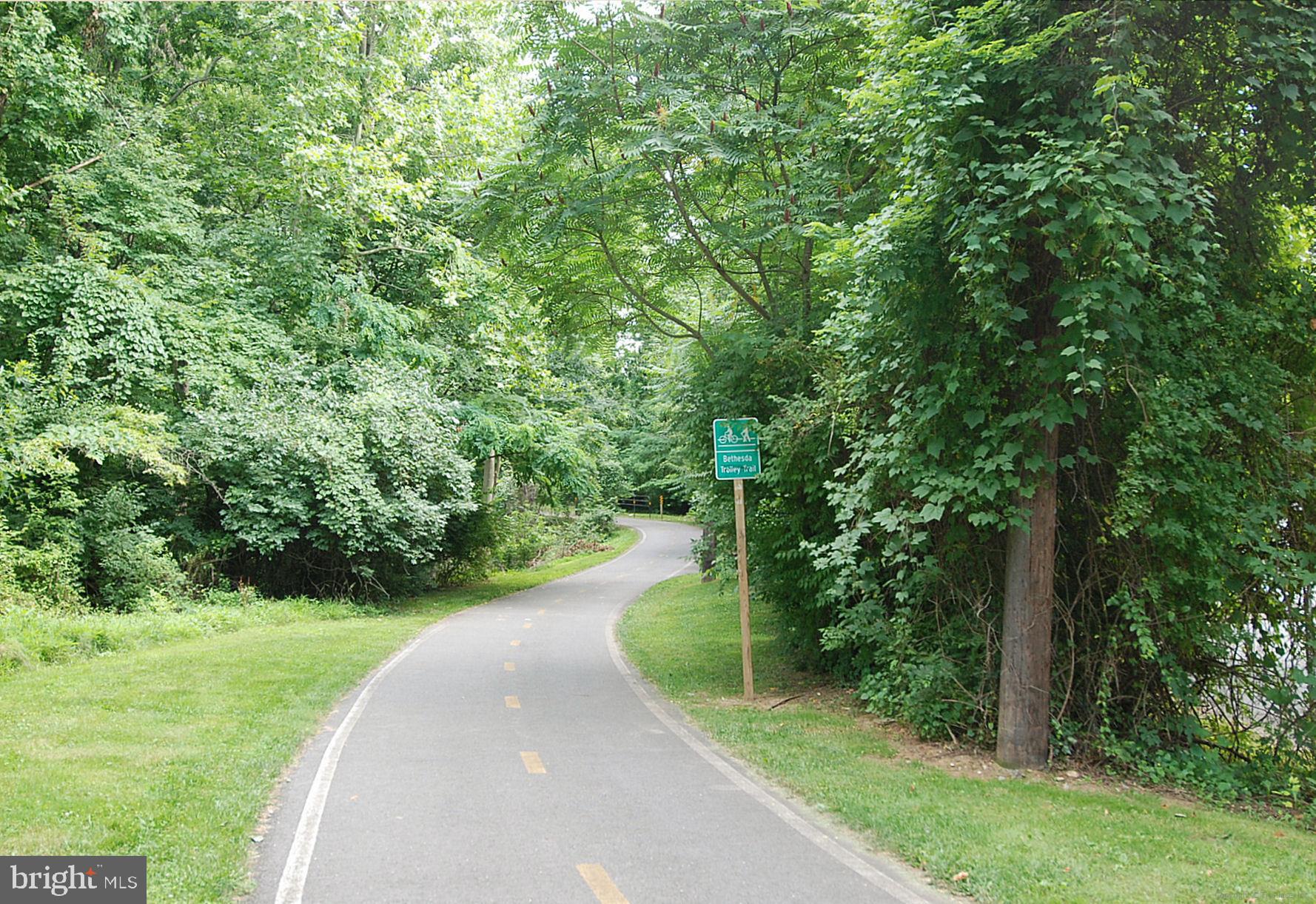 6216 Rockhurst Road Bethesda, MD 20817 - Photo 50 of 52 a view of a pathway both side of yard