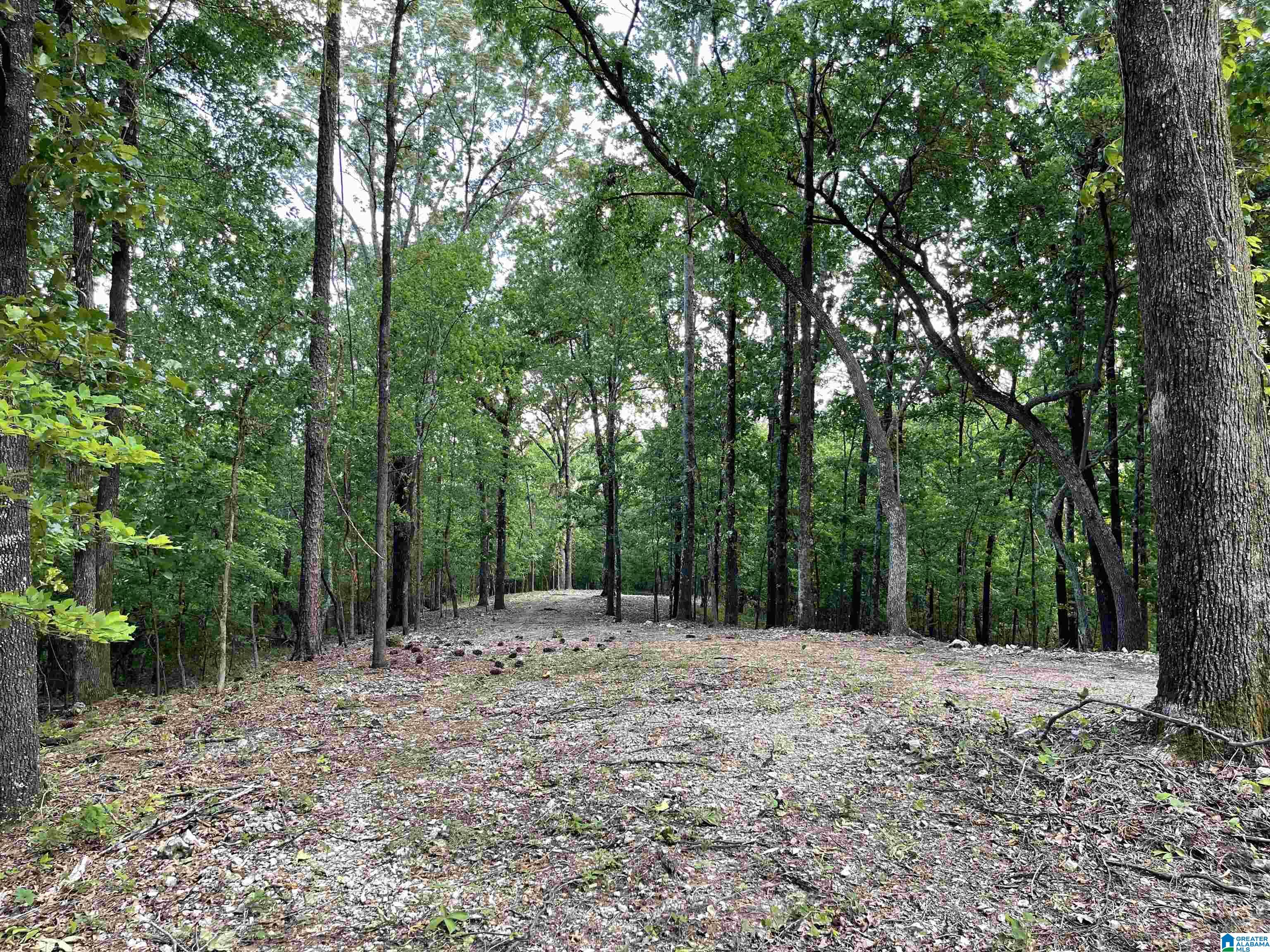 84 Rustic Drive, Unit 2 Harpersville, AL 35078 - Photo 16 of 23
