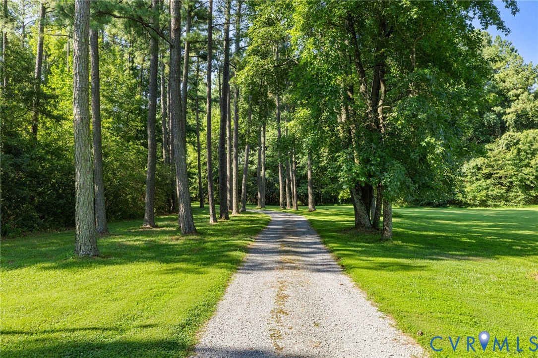 281 Echo Meadows Road Rockville, VA 23146 - Photo 5 of 49 a big yard with trees
