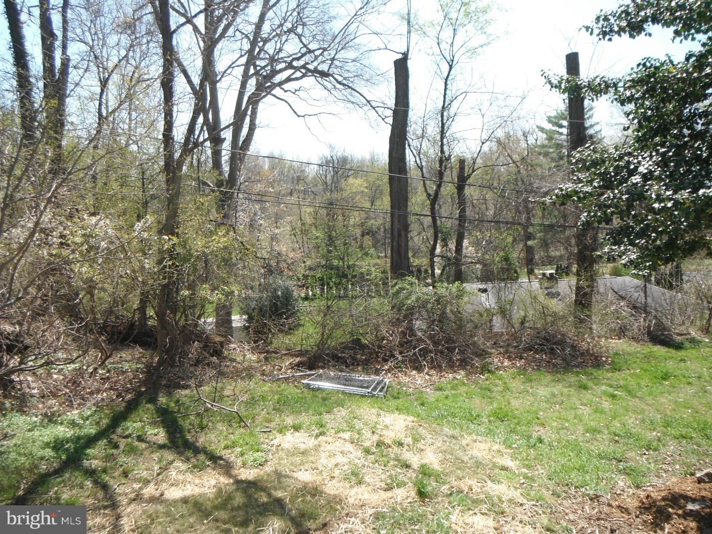 931 Gilbert Road Cheltenham, PA 19012 - Photo 9 of 14 Back Yard