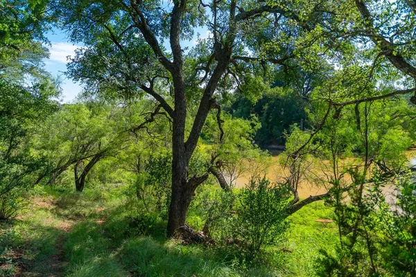 a backyard of a house with lots of trees