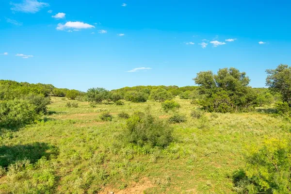 a view of a large trees with lots of green space
