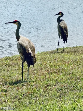 $2,350 | 11812 Cloverly Lane, Punta Gorda, FL 33955