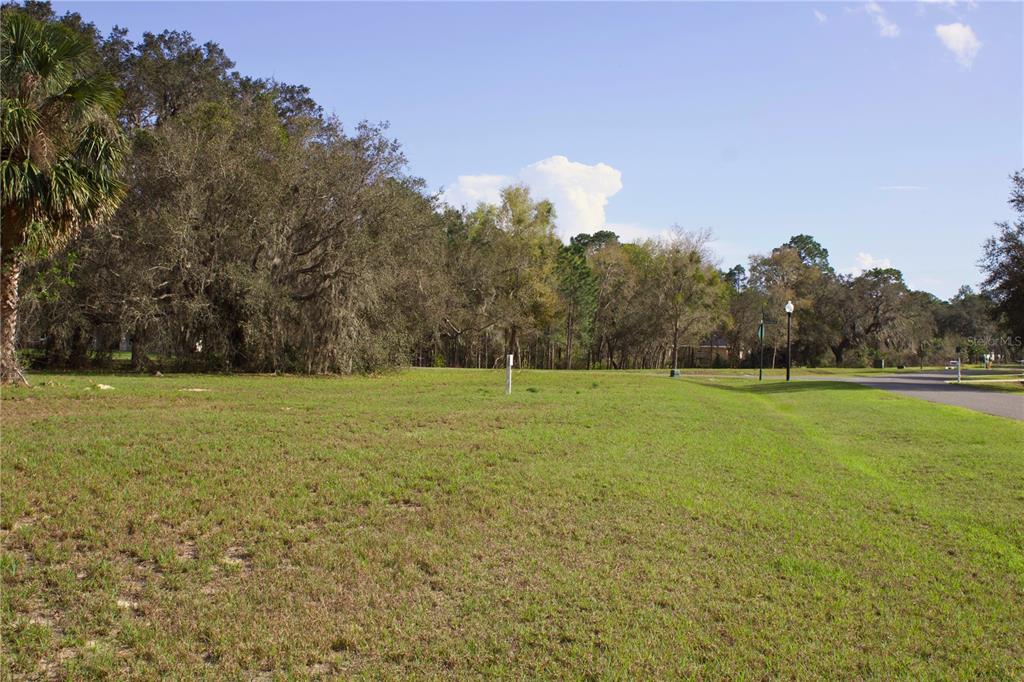 Ridge Road, Unit 47 Tavares, FL 32778 - Photo 13 of 41
