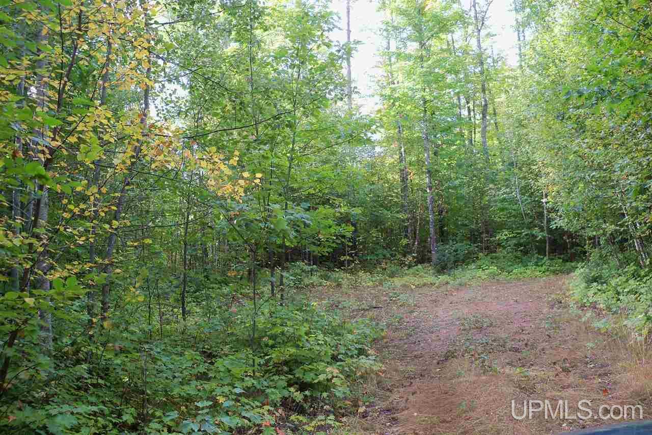 26 Co Road Negaunee, MI 49866 - Photo 16 of 31