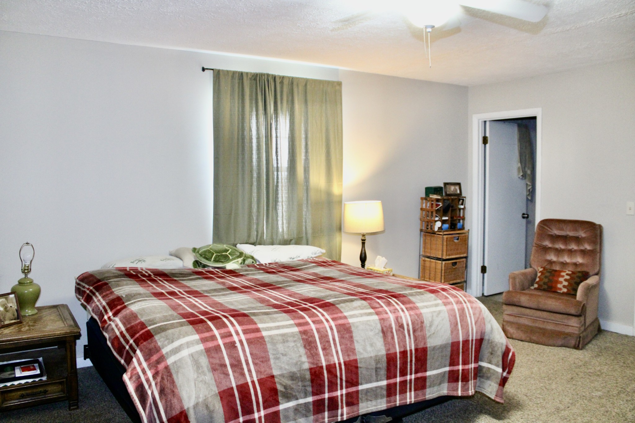 6442 Highway 161 Springfield, TN 37172 - Photo 12 of 19