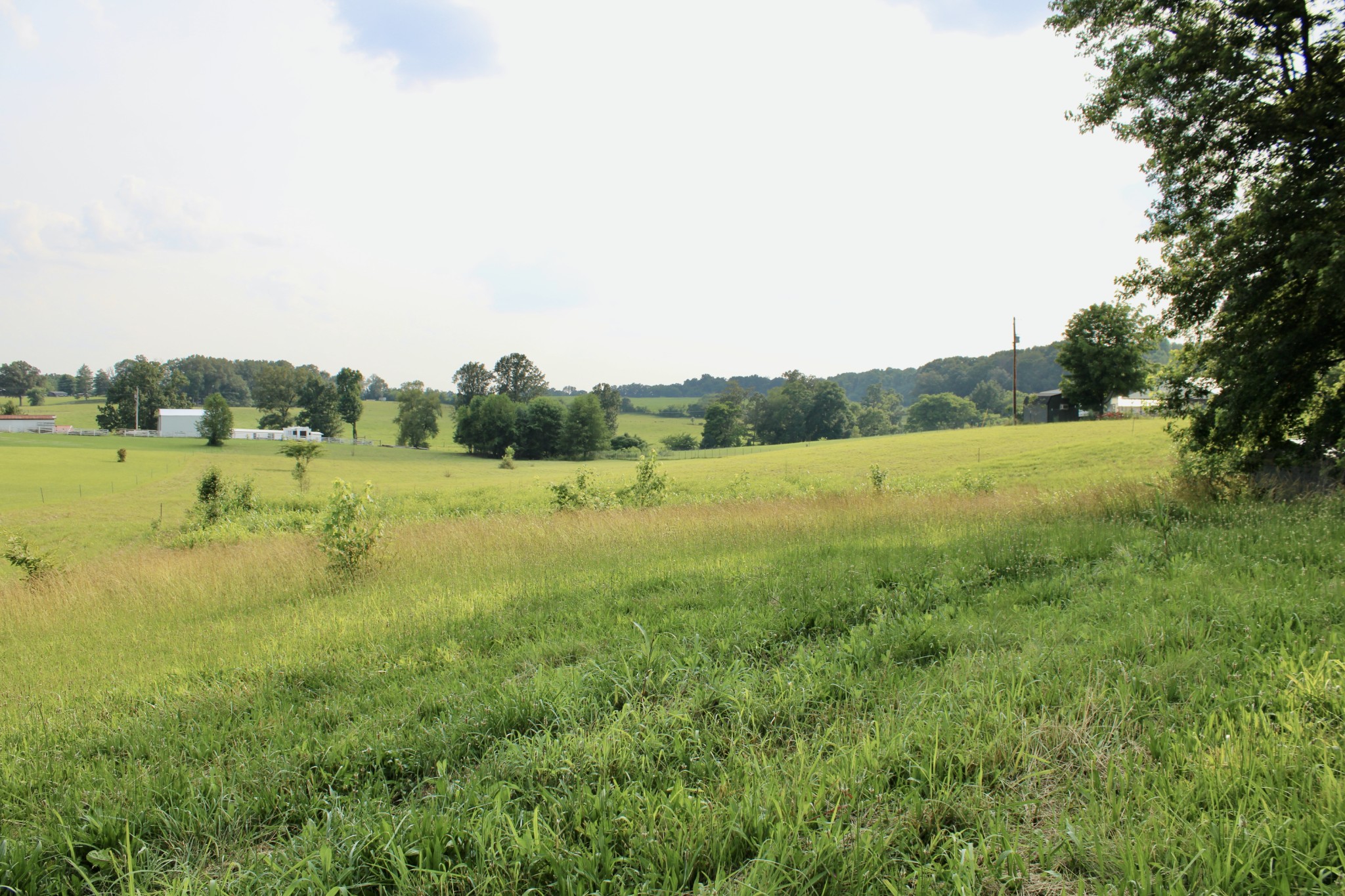 6442 Highway 161 Springfield, TN 37172 - Photo 3 of 19