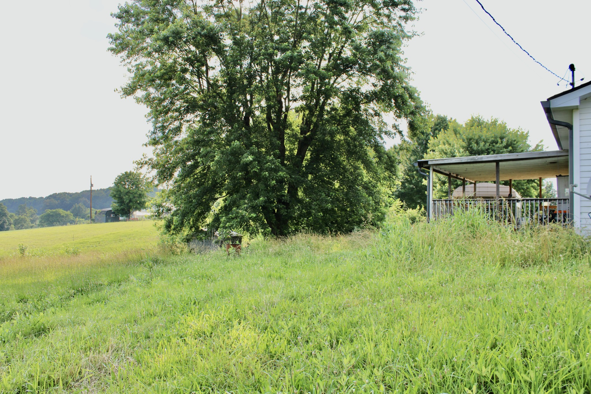 6442 Highway 161 Springfield, TN 37172 - Photo 5 of 19