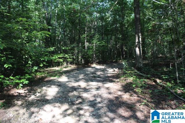 1 Benefield Gap Road Attalla, AL 35954 - Photo 27 of 50