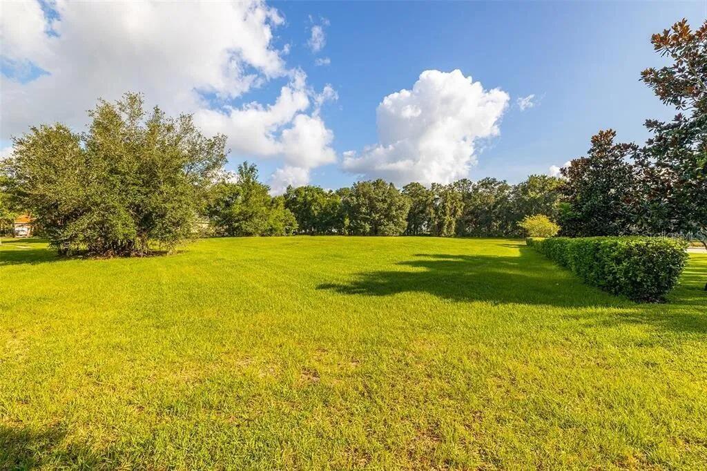 2811 Coastal Range Way Lutz, FL 33559 - Photo 24 of 29 a view of a lake with a big yard