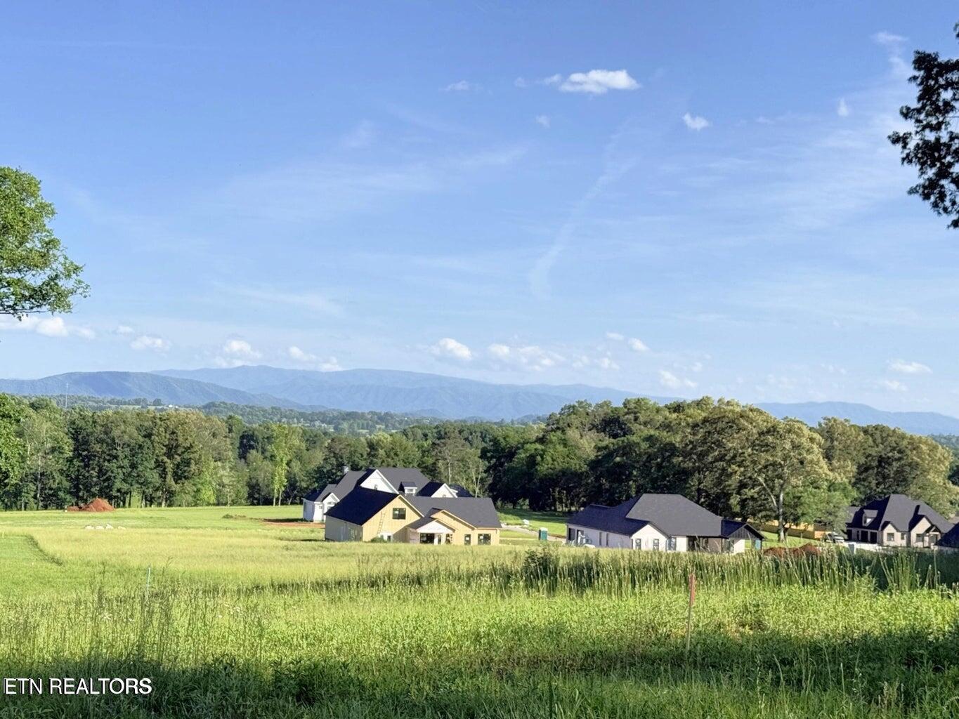 1241 Kellys View Drive Greenback, TN 37742 - Photo 45 of 60 20250519130448395327000000-o