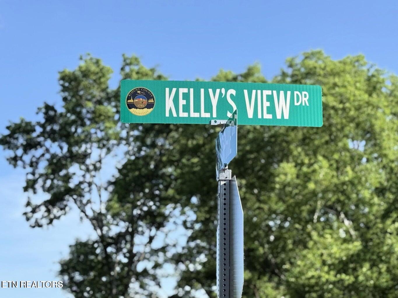 1241 Kellys View Drive Greenback, TN 37742 - Photo 60 of 60 20250519123635227446000000-o