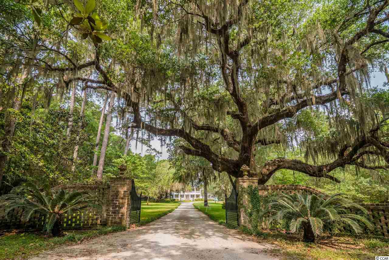 3202 Waverly Road Pawleys Island, SC 29585 - Photo 39 of 40 Gallery Image 39