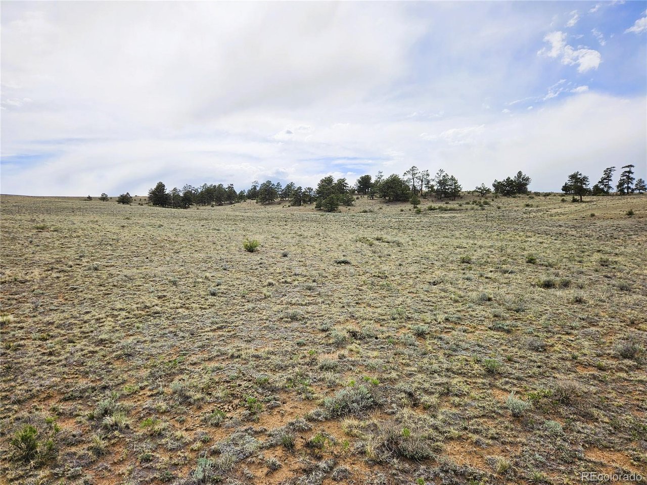 24131 Chato Road Hartsel, CO 80449 - Photo 22 of 28
