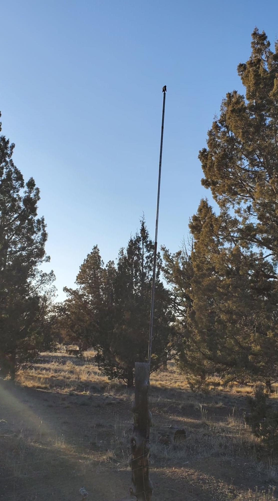 Southeast Huron Road Prineville, OR 97754 - Photo 4 of 25 3