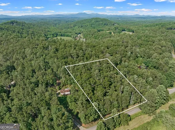 $80,000 | 2-ac Ritchie Creek Road, Blue Ridge, GA 30513