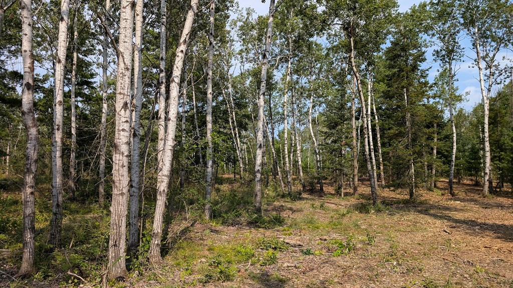 Lot 6 Wandering Down Road Fish Creek, WI 54212 - Photo 17 of 21