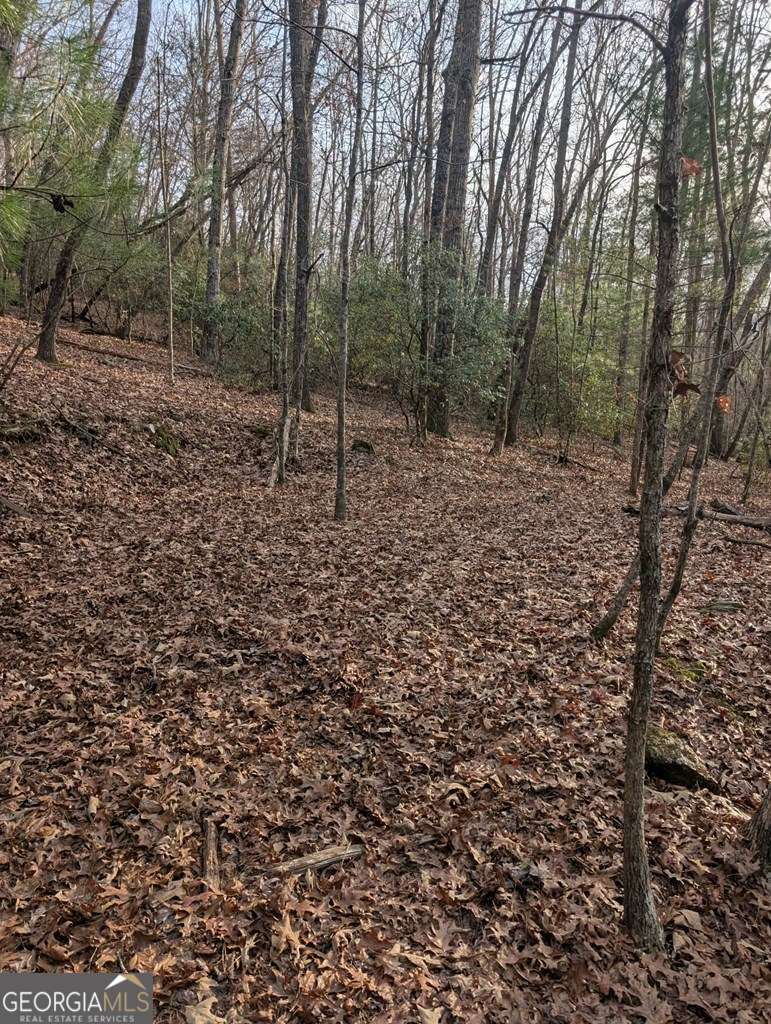 193 Opossum Road, Unit 61 Blairsville, GA 30512 - Photo 11 of 25 a view of a forest with trees