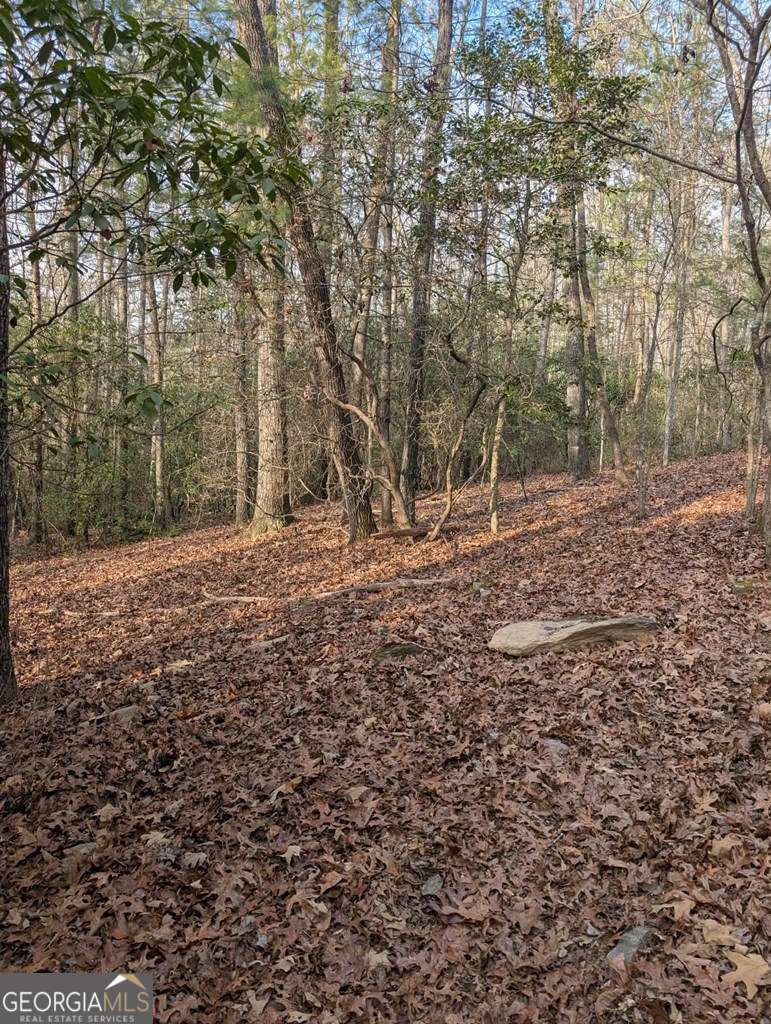 193 Opossum Road, Unit 61 Blairsville, GA 30512 - Photo 12 of 25 a view of outdoor space with trees