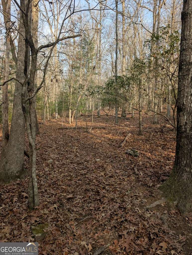 193 Opossum Road, Unit 61 Blairsville, GA 30512 - Photo 13 of 25 a view of a yard with trees