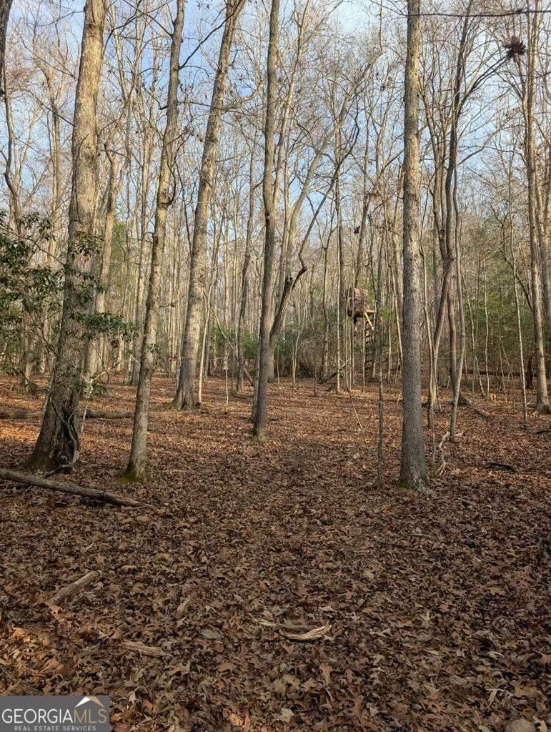 193 Opossum Road, Unit 61 Blairsville, GA 30512 - Photo 16 of 25 a backyard of a house with lots of green space
