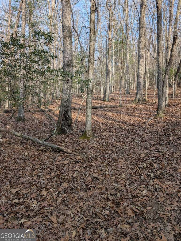 193 Opossum Road, Unit 61 Blairsville, GA 30512 - Photo 17 of 25 a backyard of a house with lots of green space