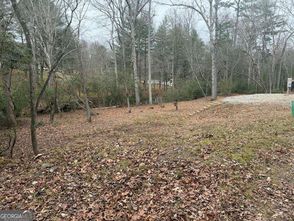 193 Opossum Road, Unit 61 Blairsville, GA 30512 - Photo 18 of 25 a backyard of a house with lots of green space