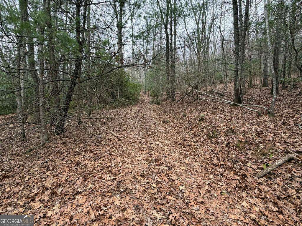 193 Opossum Road, Unit 61 Blairsville, GA 30512 - Photo 19 of 25 a view of a forest with trees in the background