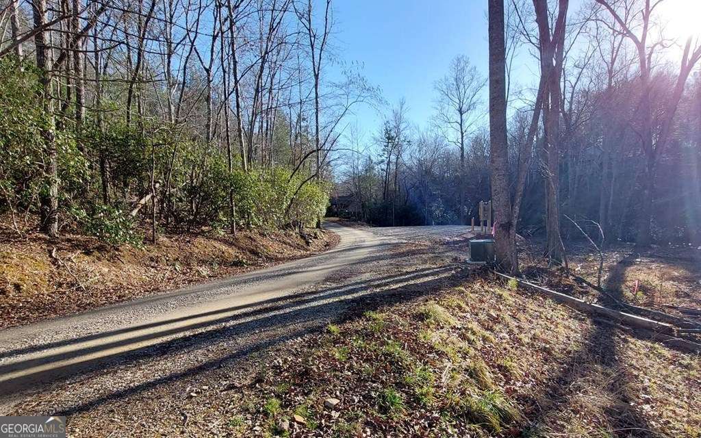 193 Opossum Road, Unit 61 Blairsville, GA 30512 - Photo 2 of 25 a view of a backyard with a large trees
