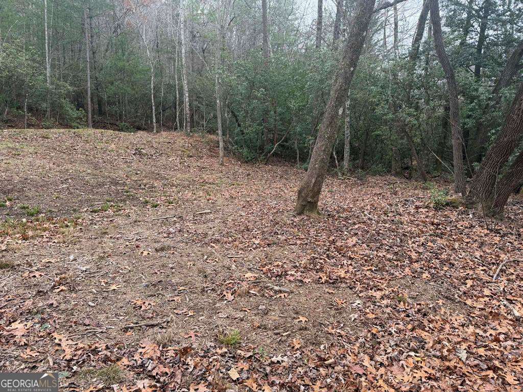 193 Opossum Road, Unit 61 Blairsville, GA 30512 - Photo 21 of 25 a view of a forest with trees