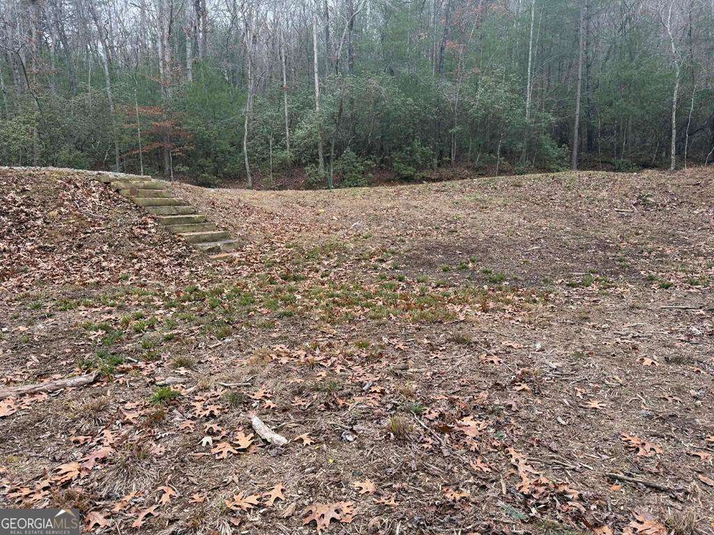 193 Opossum Road, Unit 61 Blairsville, GA 30512 - Photo 22 of 25 a view of a backyard of a house