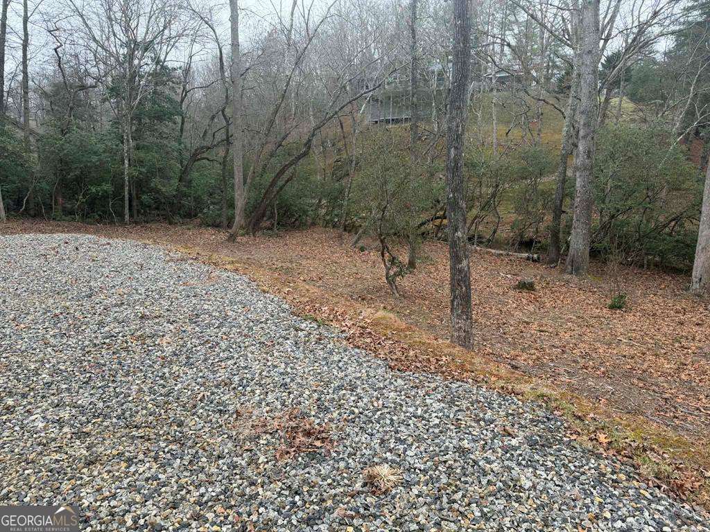 193 Opossum Road, Unit 61 Blairsville, GA 30512 - Photo 24 of 25 a view of a forest with trees