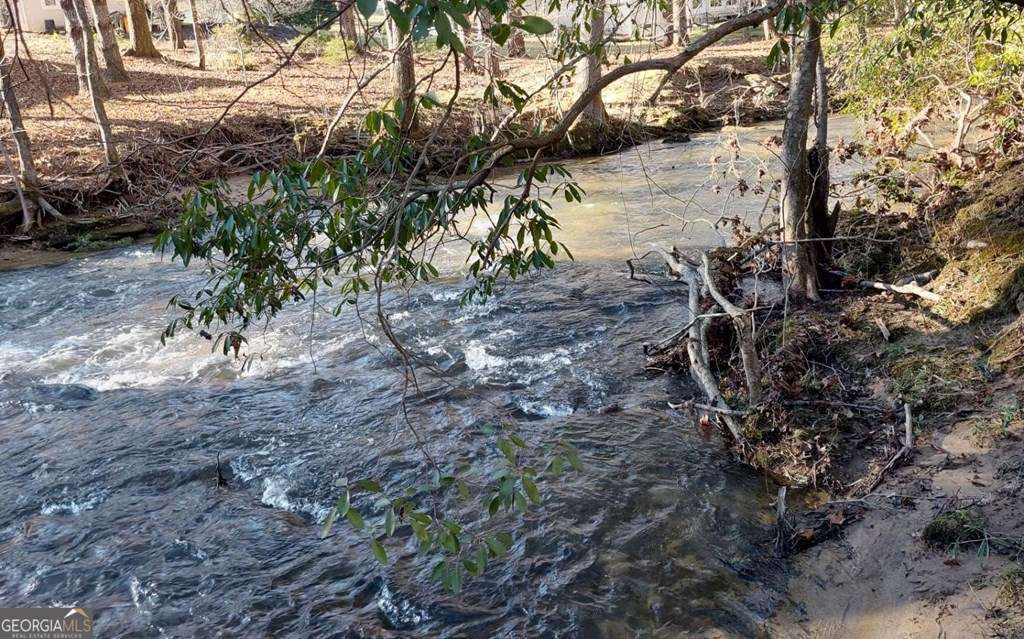 193 Opossum Road, Unit 61 Blairsville, GA 30512 - Photo 3 of 25 a view of a yard with plants and trees