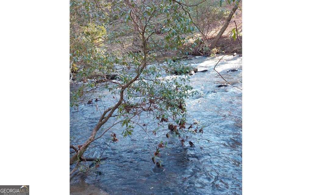 193 Opossum Road, Unit 61 Blairsville, GA 30512 - Photo 4 of 25 a view of a dry yard with trees