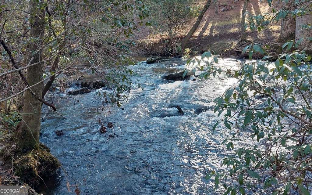 193 Opossum Road, Unit 61 Blairsville, GA 30512 - Photo 5 of 25 a view of a forest filled with trees