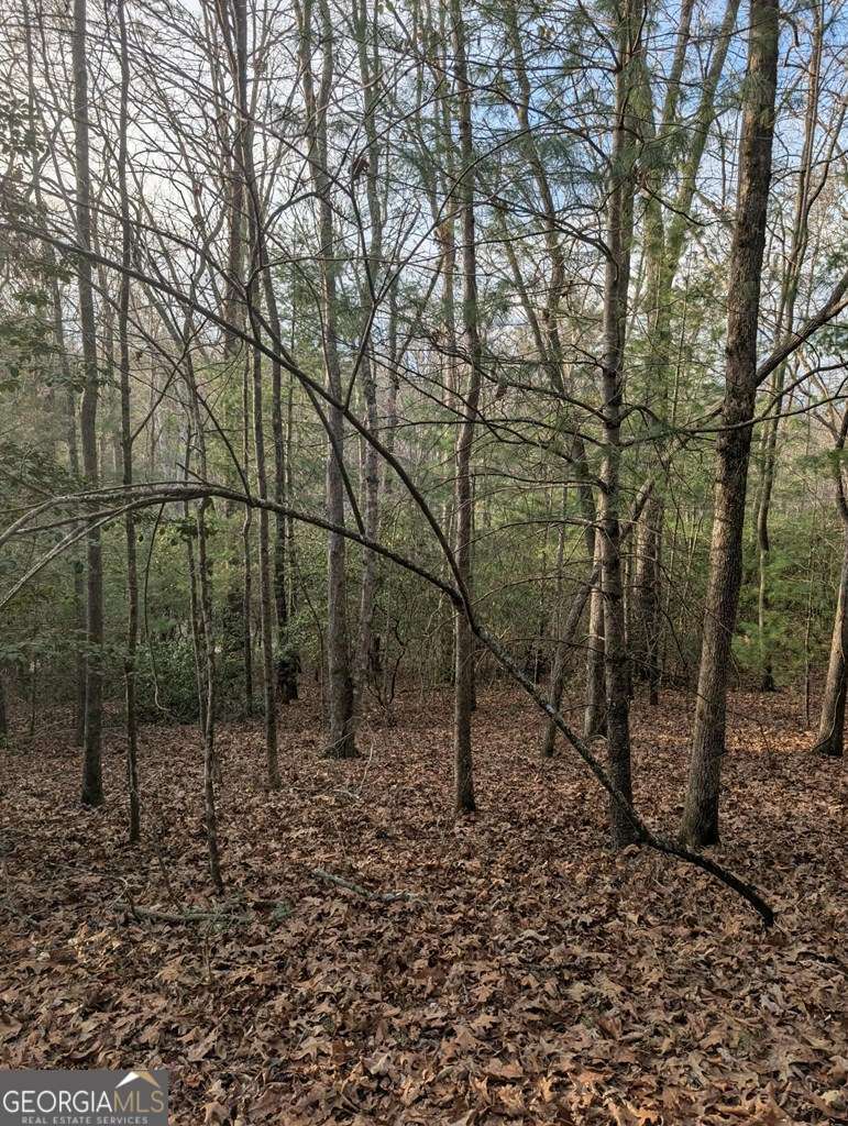 193 Opossum Road, Unit 61 Blairsville, GA 30512 - Photo 9 of 25 a backyard of a house with lots of green space