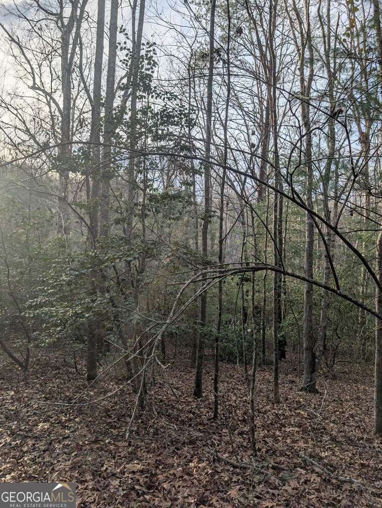 193 Opossum Road, Unit 61 Blairsville, GA 30512 - Photo 10 of 25 a backyard of a house with lots of green space