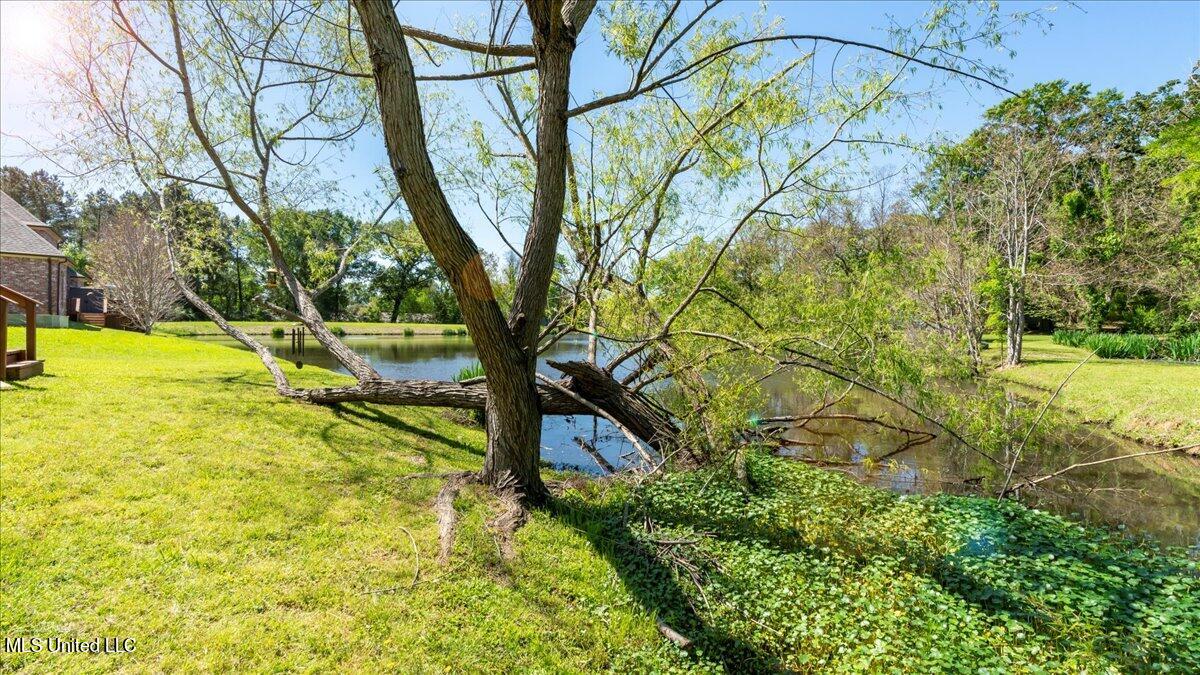 225 Rue Beau Chene Ridgeland, MS 39157 - Photo 27 of 28 27-A7R07248 edited
