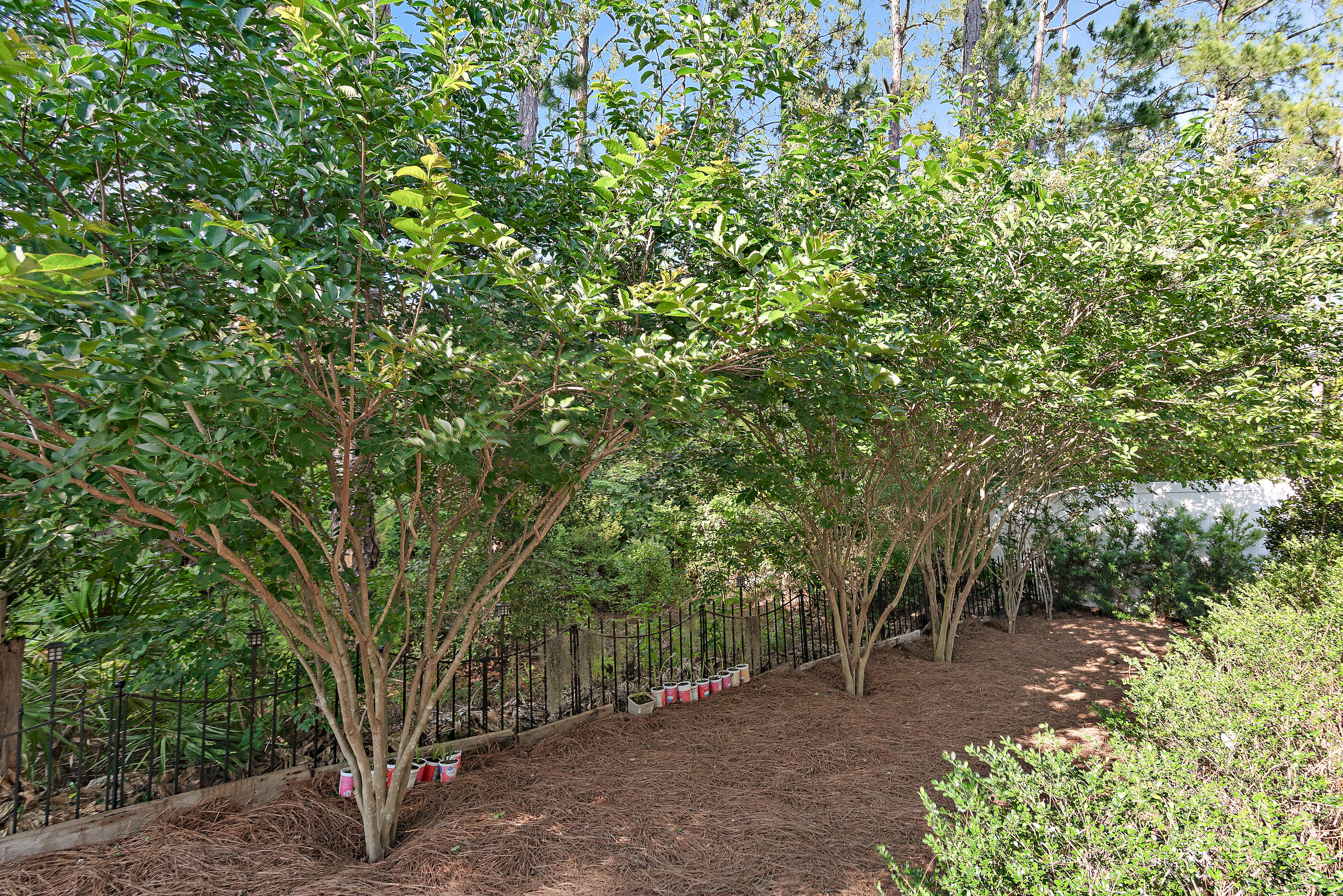 239 Southern Pnes Road Santa Rosa Beach, FL 32459 - Photo 27 of 32 Amazing Backyard