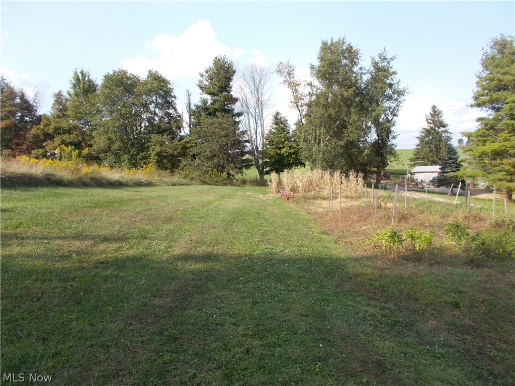 55356 McDowell Road Barnesville, OH 43713 - Photo 16 of 17