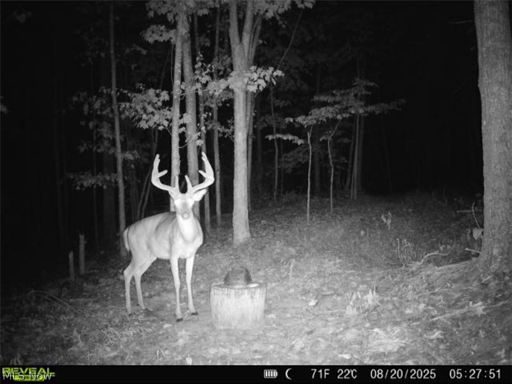 Hill Road Portsmouth, OH 45662 - Photo 18 of 47