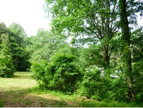 537 Payne Ridge Road Church Hill, TN 37642 - Photo 18 of 24 PART WOODED