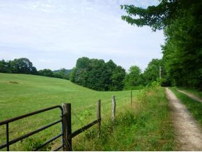 537 Payne Ridge Road Church Hill, TN 37642 - Photo 21 of 24 PASTURE