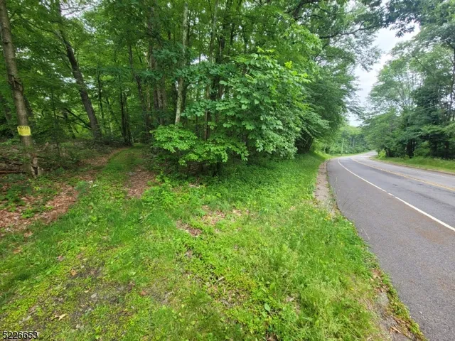 a green field with lots of trees