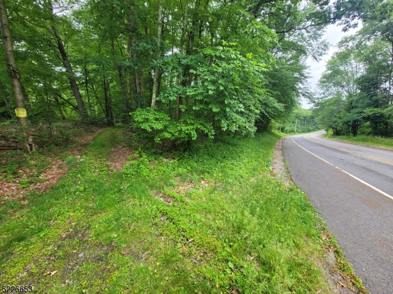 90 Kemah Mecca Lake Road Newton, NJ 07860 - Photo 2 of 8 a green field with lots of trees