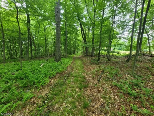 a big yard with lots of green space and deers