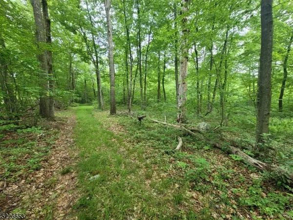 a big yard with lots of green space and trees